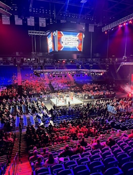 An indoor arena is filled with people watching a wrestling match. The ring is centrally located, and surrounded by audience members sitting in tiered seating. The arena is illuminated with red and blue lights, and a large overhead screen displays 'Sunday Stunner.' Spectators are engrossed in the match taking place in the well-lit ring.